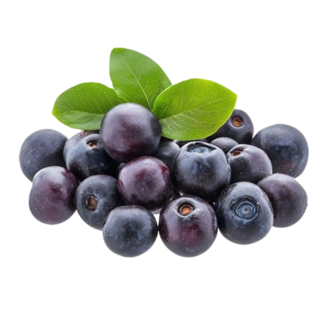 Aronia Berry