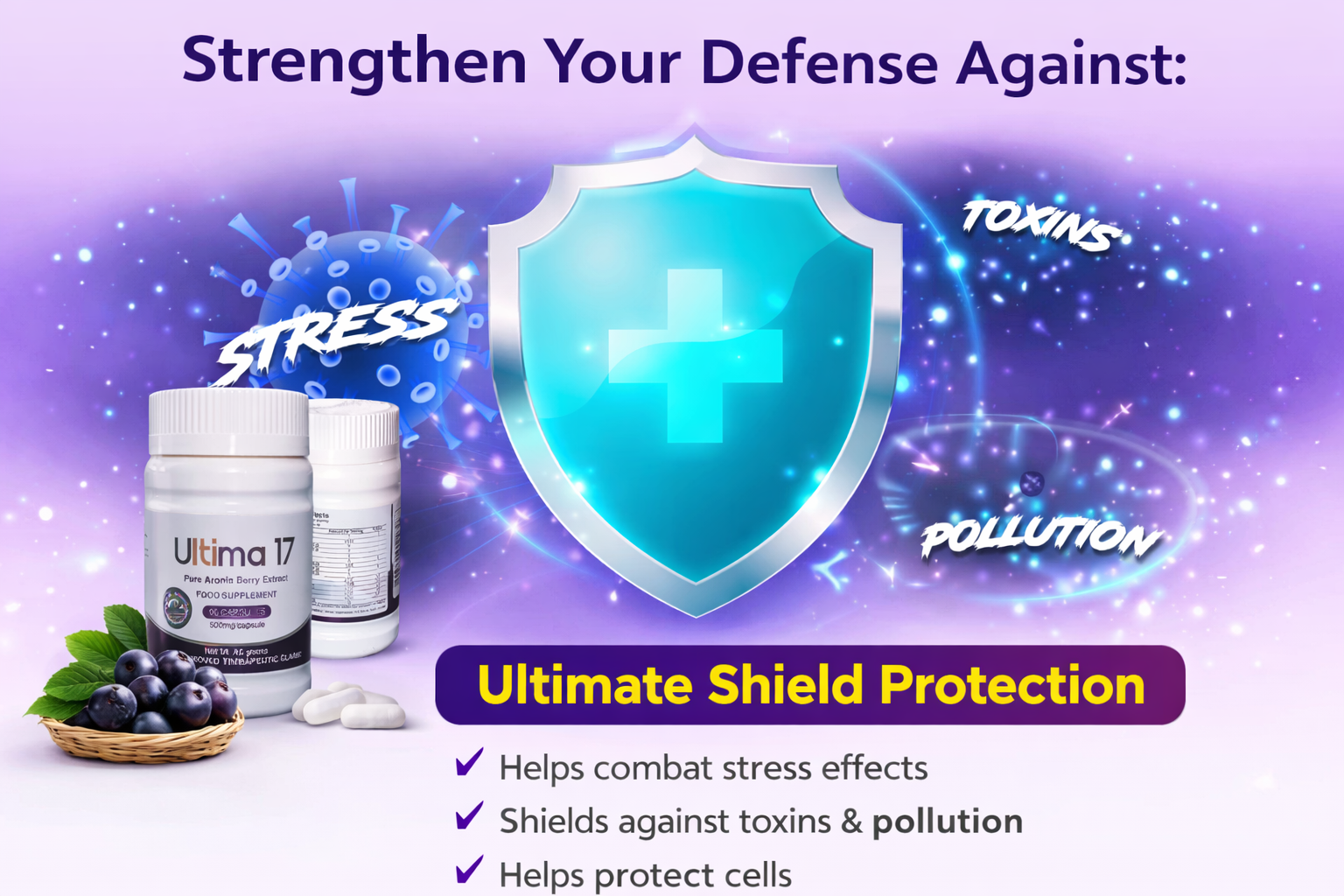 ULTIMA17 product information slide 2