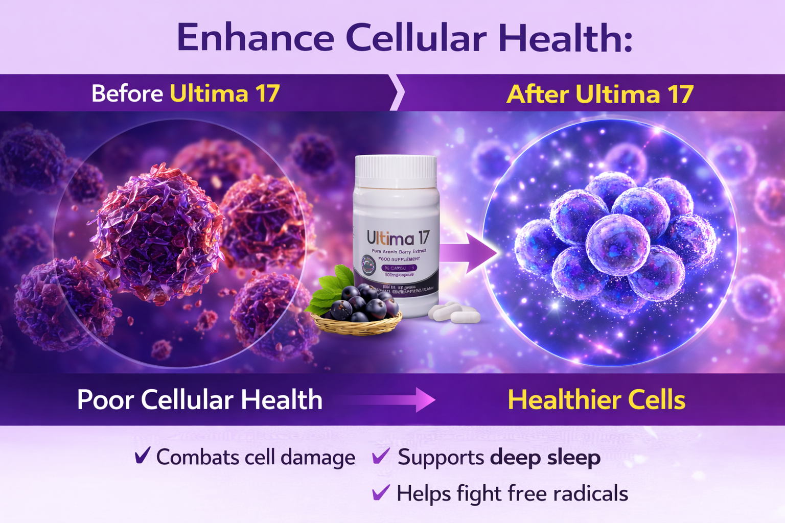 ULTIMA17 product information slide 4